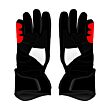 Johann Zarco 2024 Gloves Front
