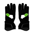 Alex Lowes Gloves MotoGP 2024 Front