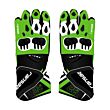 Alex Lowes Gloves MotoGP 2024 Back
