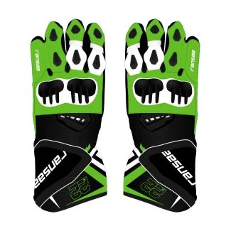 Alex Lowes Kawasaki Riding Gloves MotoGP 2024