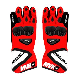 Maverick Vinales 2024 Motorcycle Race Gloves