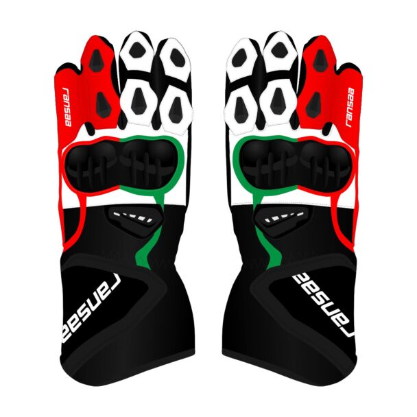 Johann Zarco 2024 Gloves