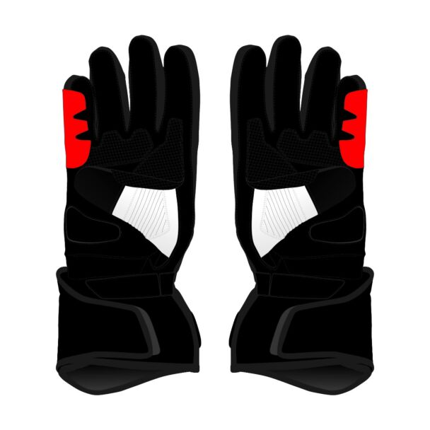 Johann Zarco 2024 Gloves Front
