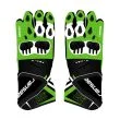 Alex Lowes Gloves MotoGP 2024 Back