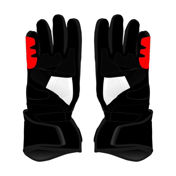 Johann Zarco 2024 Gloves Front